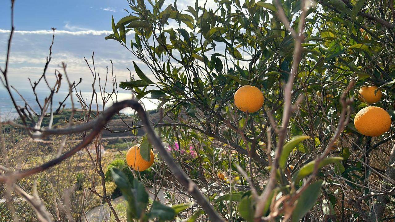 El Paraiso De Salobreña Kültér fotó